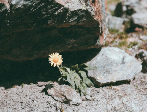 The Unseen World