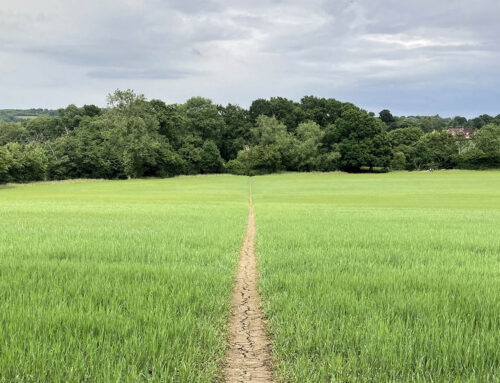 Straightening the Crooked Places