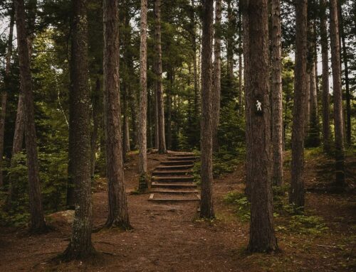 How Contemplative Meditation Opens the Door to Deeper States