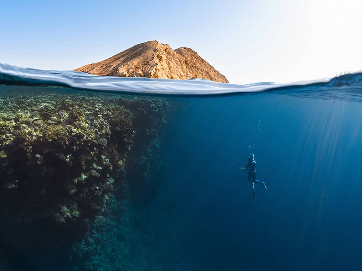 Sea of mind