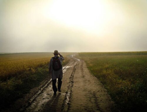 Seek Until You Find